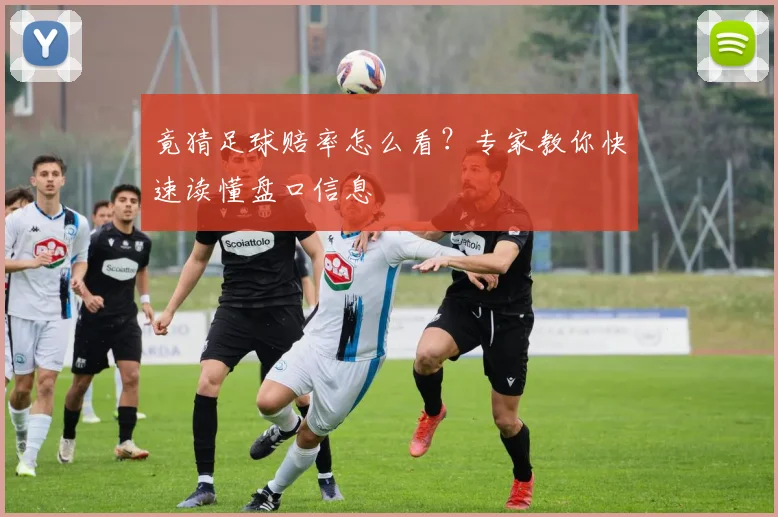 竟猜足球赔率怎么看?专家教你快速读懂盘口信息