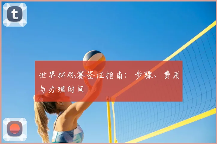 世界杯观赛签证指南：步骤、费用与办理时间
