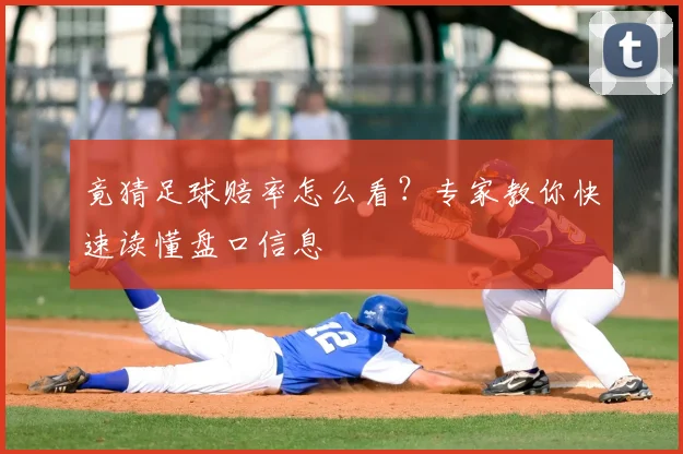 竟猜足球赔率怎么看?专家教你快速读懂盘口信息
